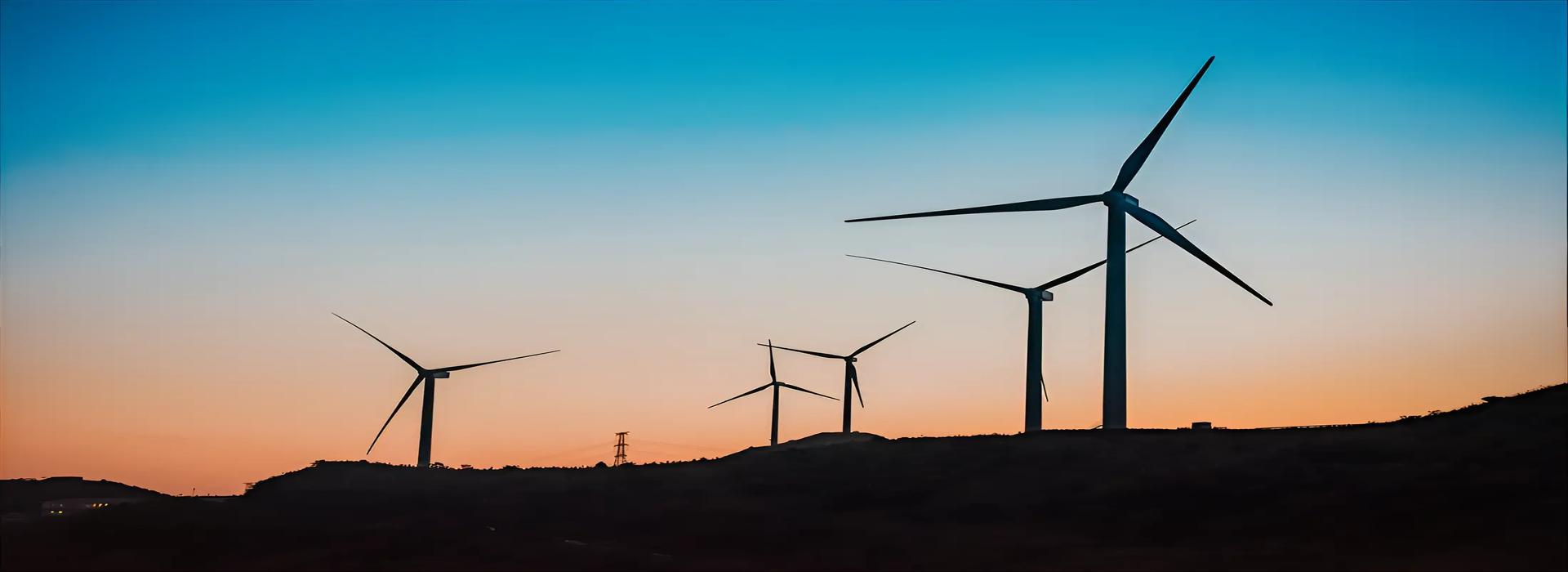 New Energy Industry