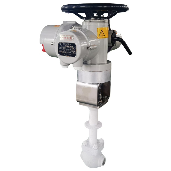 Electric Cryogenic Globe Valve