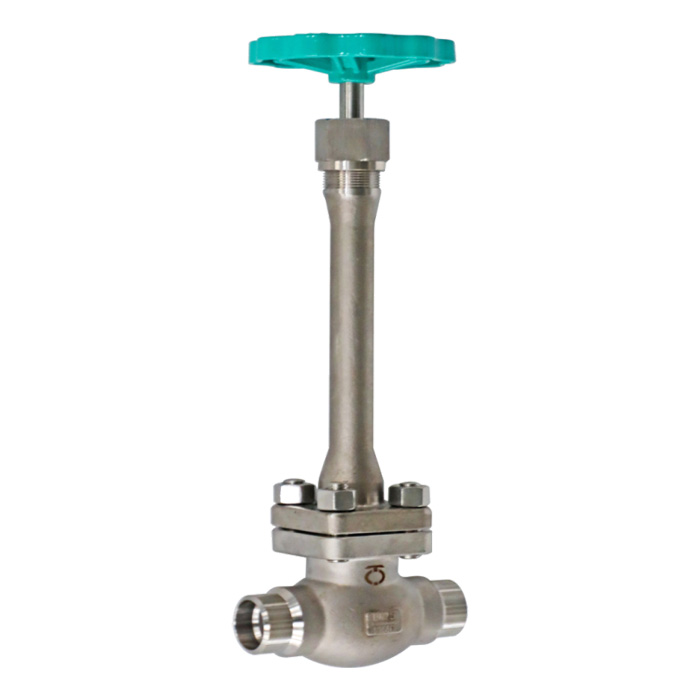 Cryogenic Globe Valve