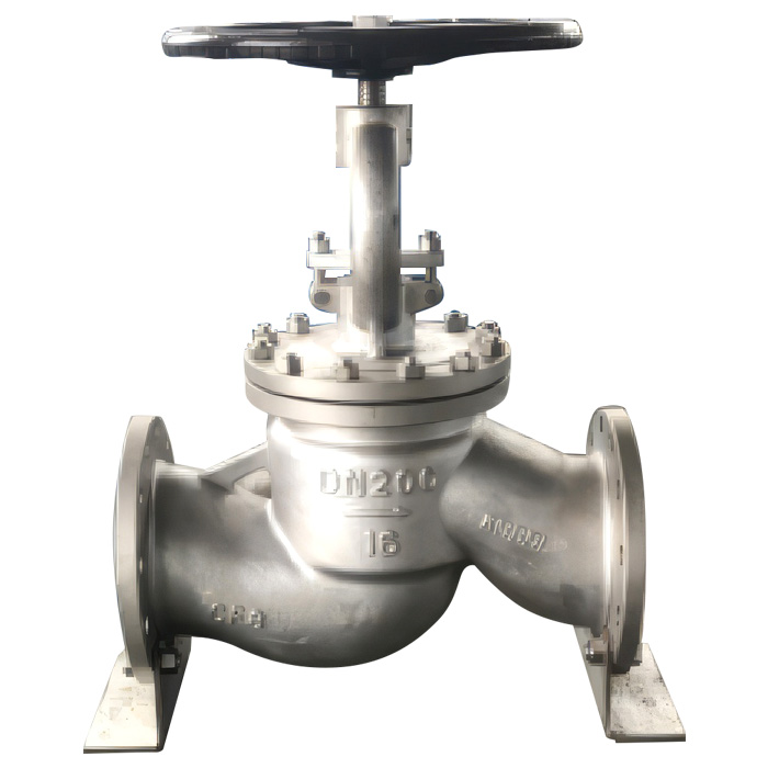 Globe Valve