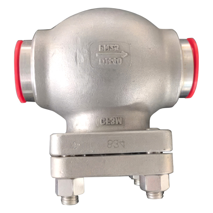 Cryogenic Lift Check Valve